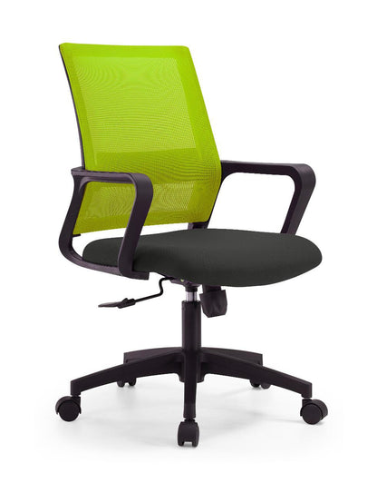 Antonio Medium Back
