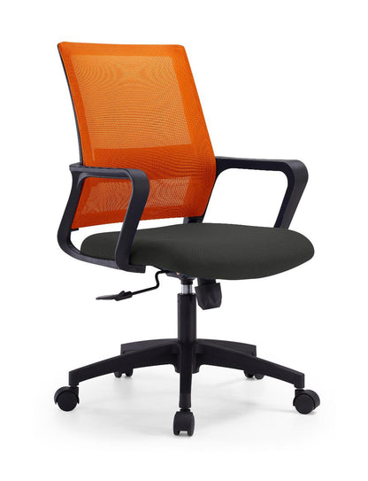 Antonio Medium Back